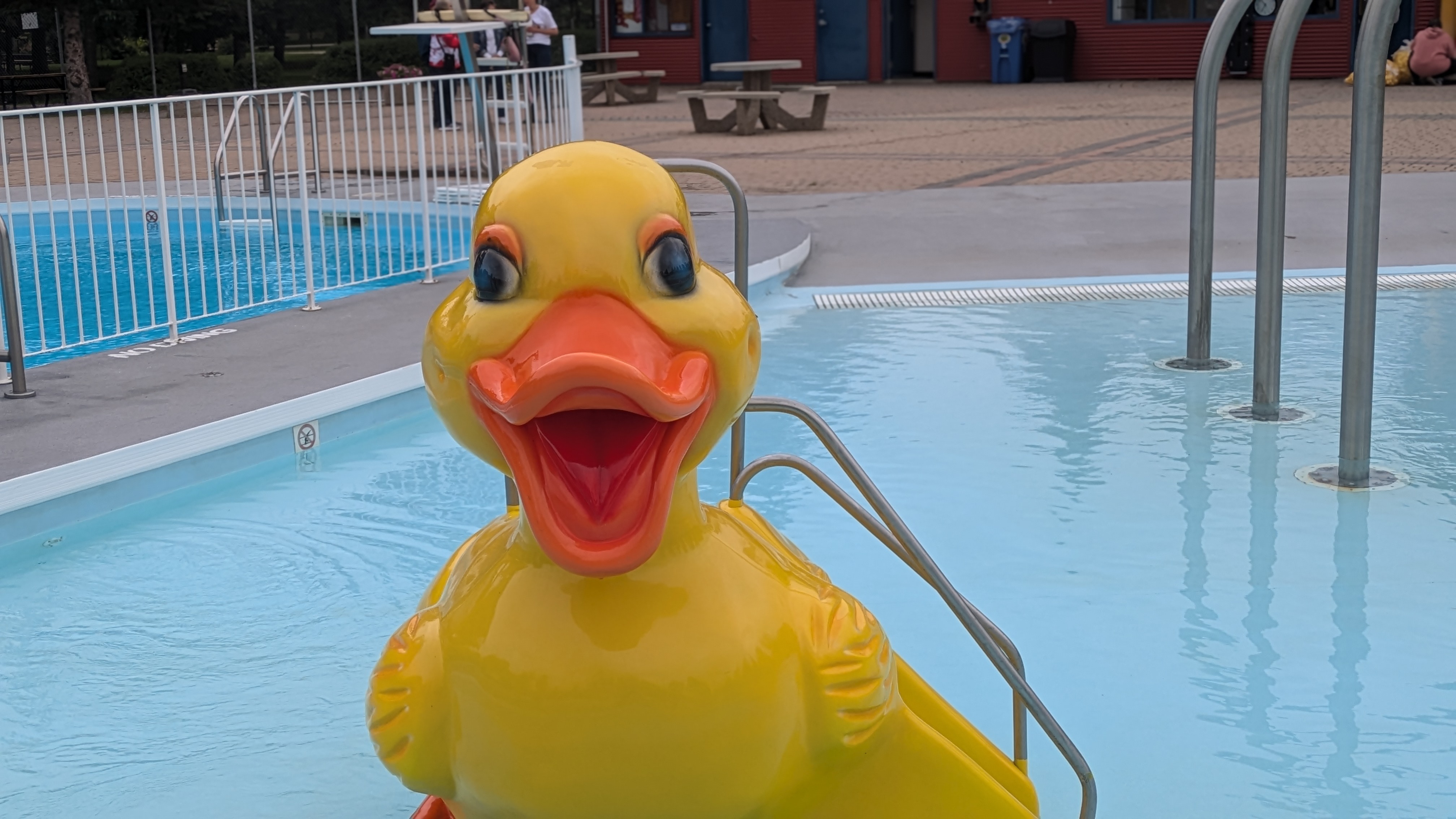 UPDATE: Splash for cash: Rubber Duck race reveals three winners ...