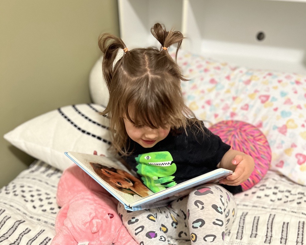 Estevan families encouraged to celebrate literacy at home