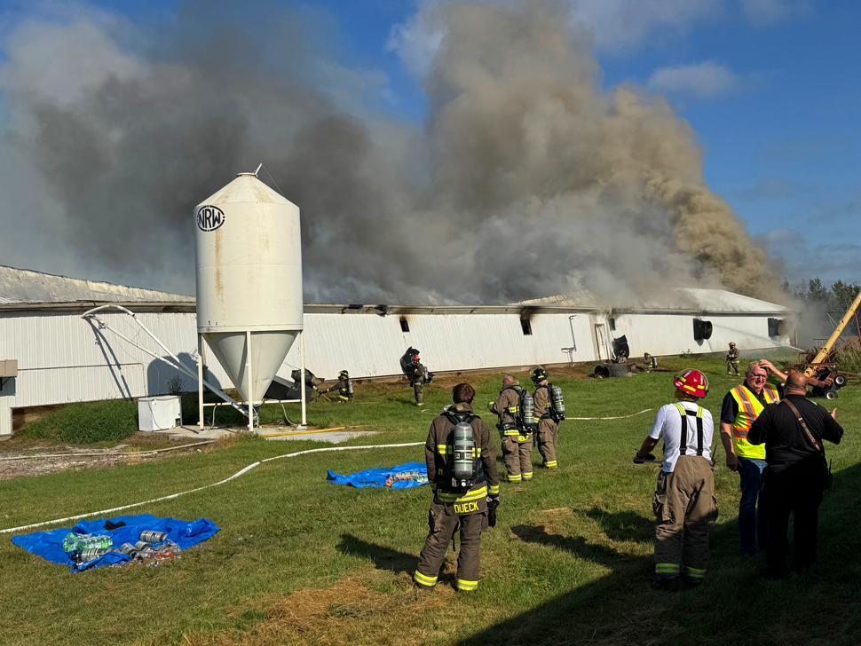 Allan Rau 9,500 chickens perish in barn fire southeast of Landmark ...