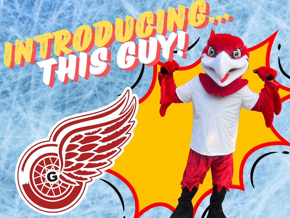 Grunthal Redwings introduce mascot and ask the community to suggest ...