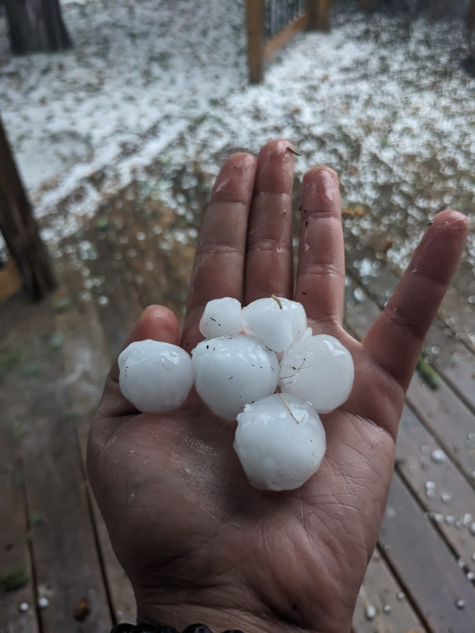 Little Hail GALLERY: Hen egg sized hail hits near Cochrane - CochraneNow: Cochrane ...
