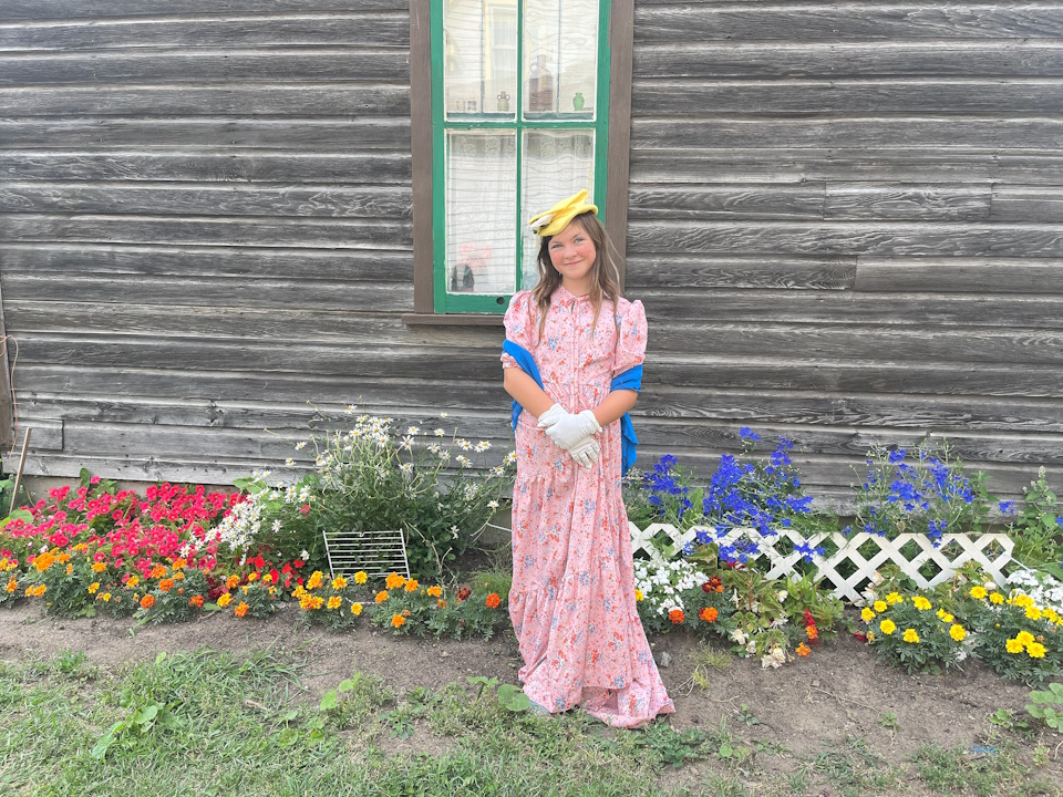 Photos of the week birds, fog, and the way things used to be