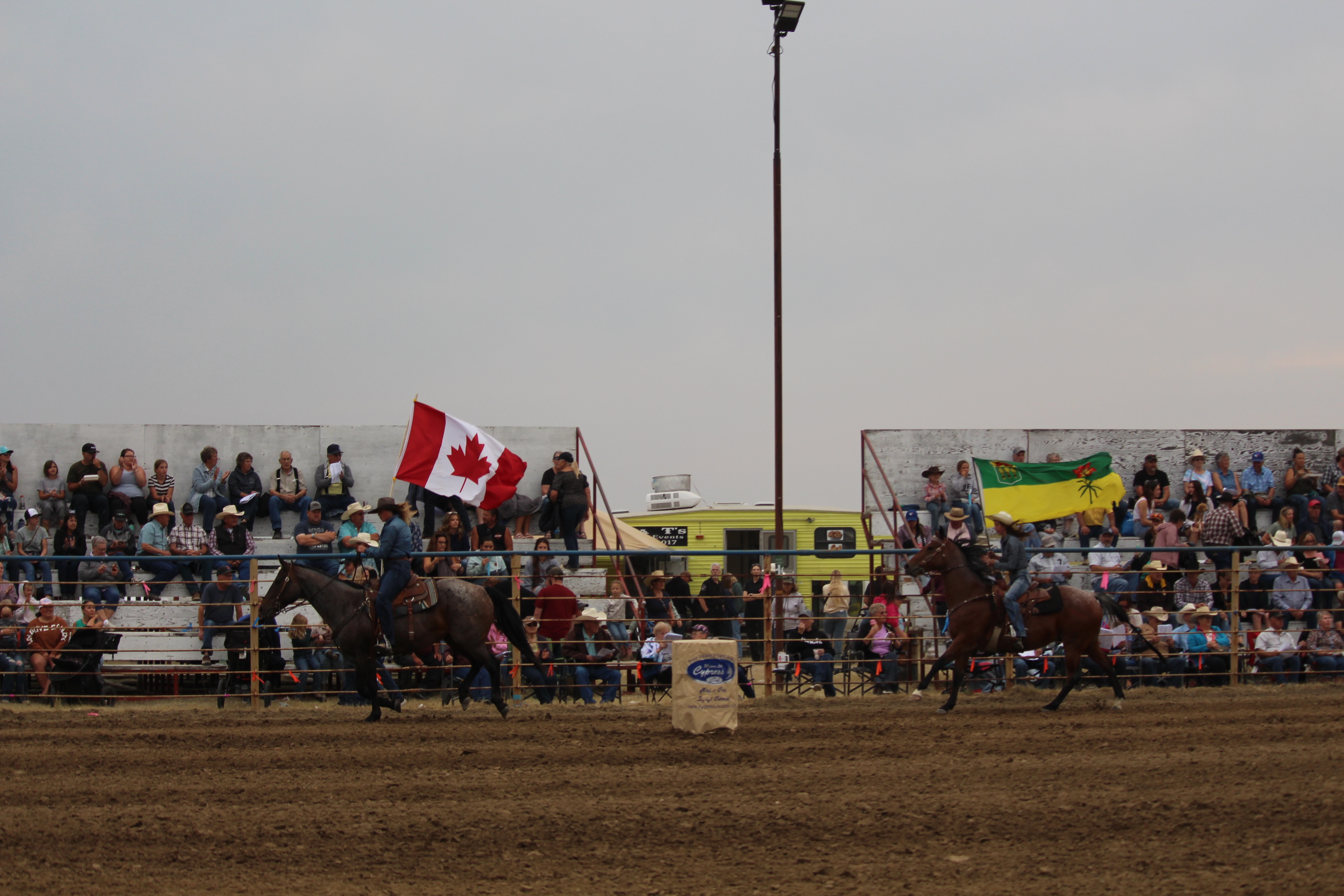 Rigorous ropers and robust riders at Reno Rodeo - SwiftCurrentOnline ...