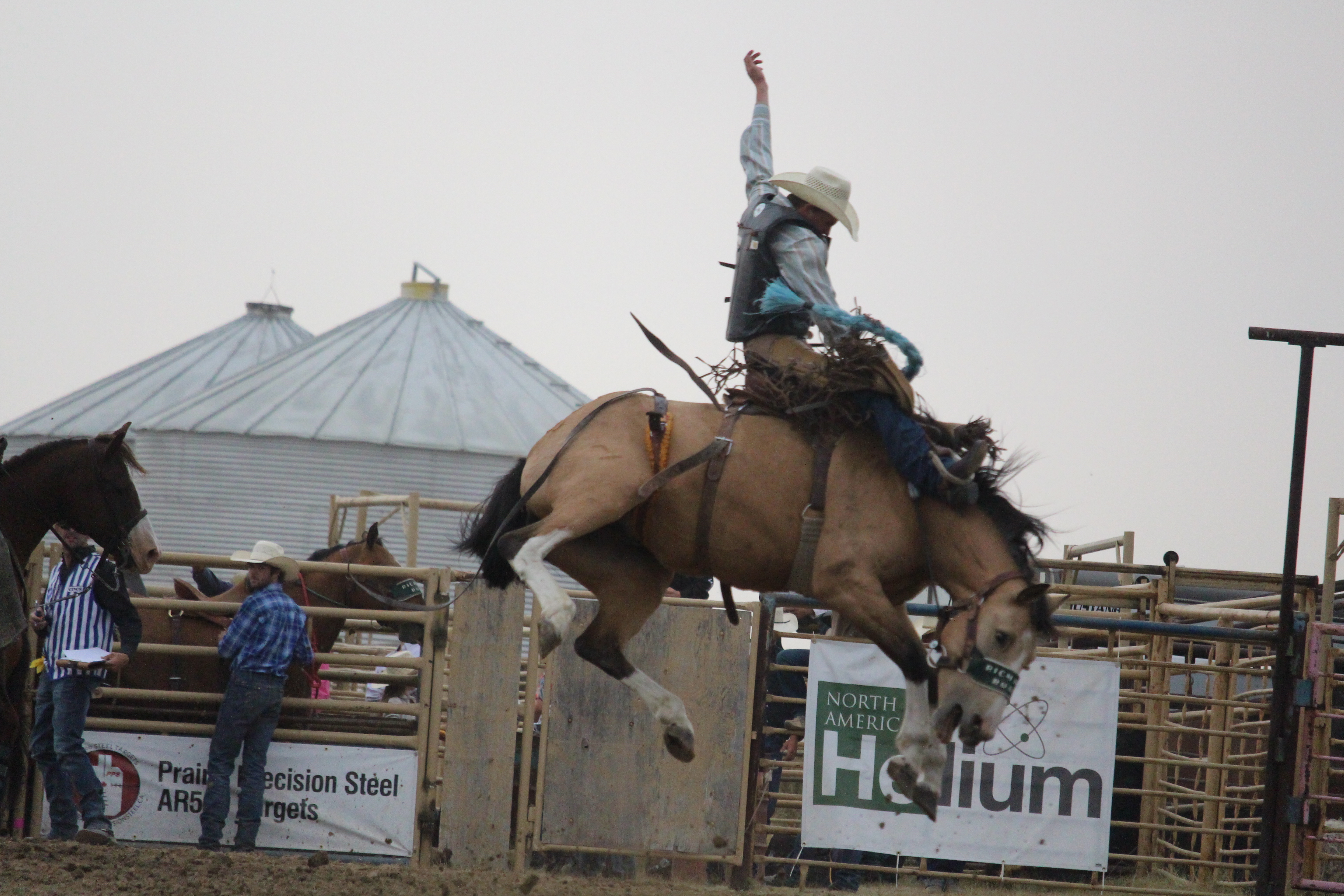 Rigorous ropers and robust riders at Reno Rodeo - SwiftCurrentOnline ...