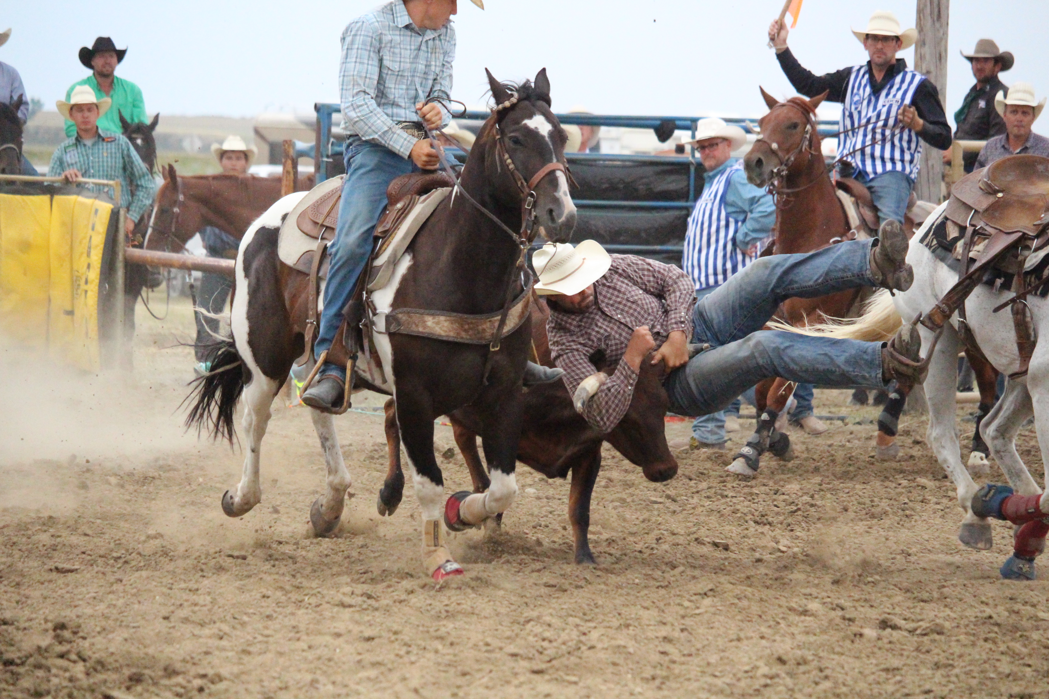 Rigorous ropers and robust riders at Reno Rodeo - SwiftCurrentOnline ...