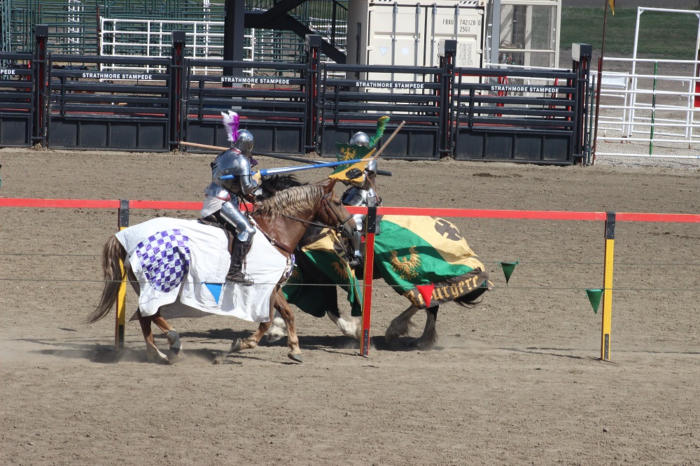 Gallery: A magical weekend at the Strathmore Medieval Faire & Artisan ...