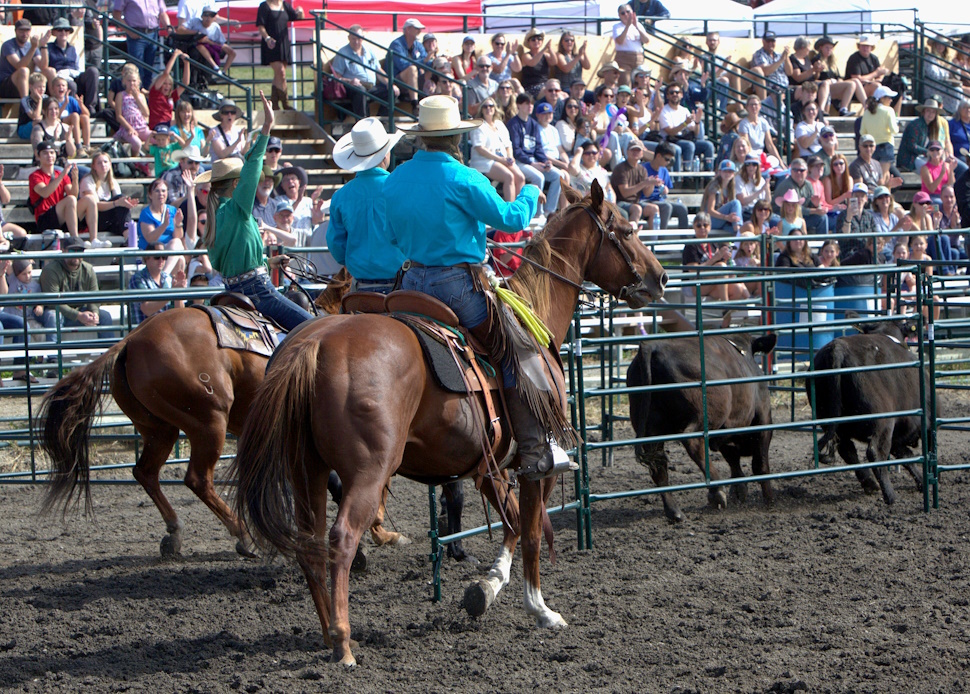 Rooster Day Rodeo WATCH/GALLERY: Rodeo weekend starts on high note - CochraneNow ...