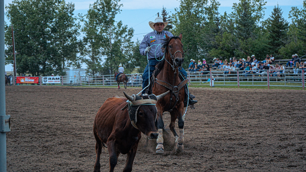 Nanton Pro Rodeo Gallery: The first ever Nanton Pro Rodeo - OkotoksOnline.com - Local ...