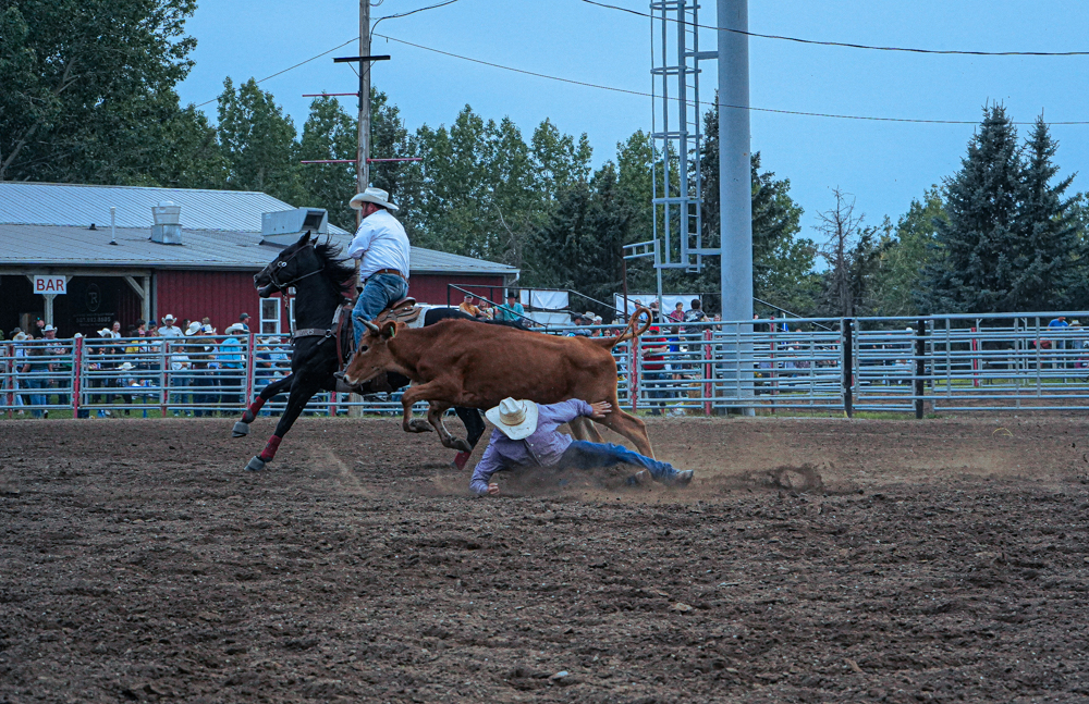 Nanton Pro Rodeo Gallery: The first ever Nanton Pro Rodeo - OkotoksOnline.com - Local ...