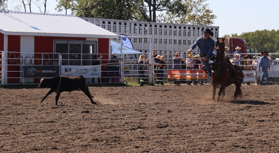 Riding, roping, and racing: Heartland Rodeo in photos - SteinbachOnline ...