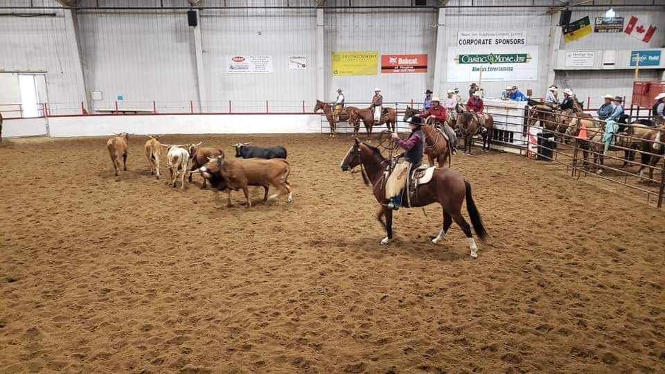 Moose Jaw Exhibition Company under CFIA quarantine for equine herpes virus