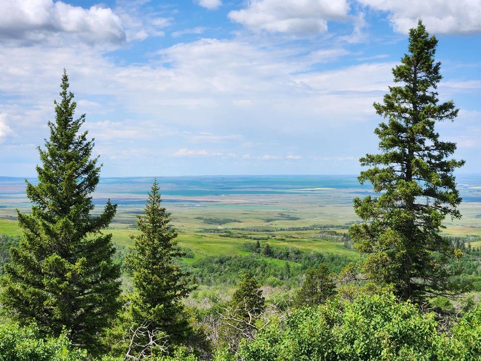 Poll results: where southwest Saskatchewan prefers camping