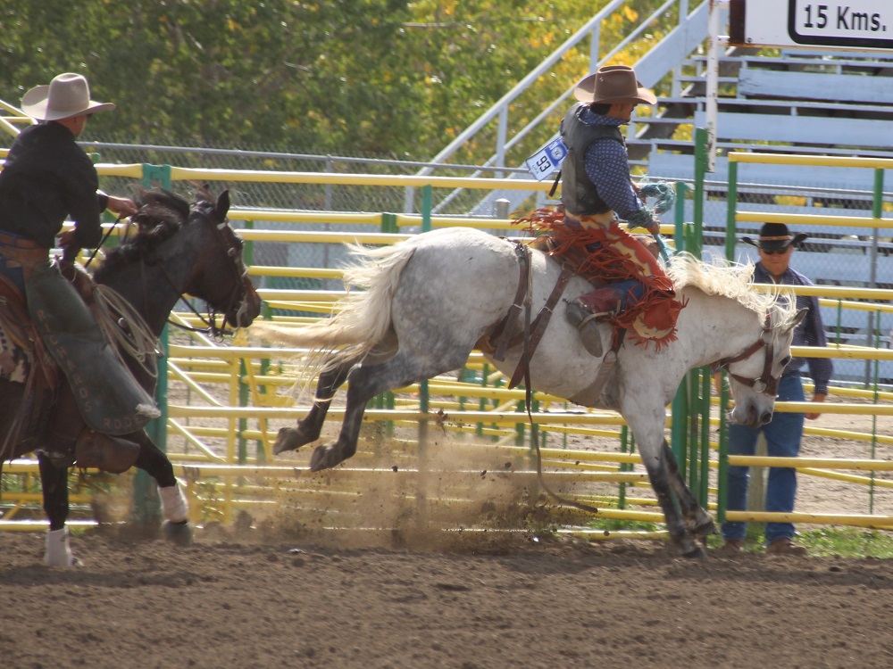 Five things going on in Strathmore and area this weekend (Sept. 6-8 ...