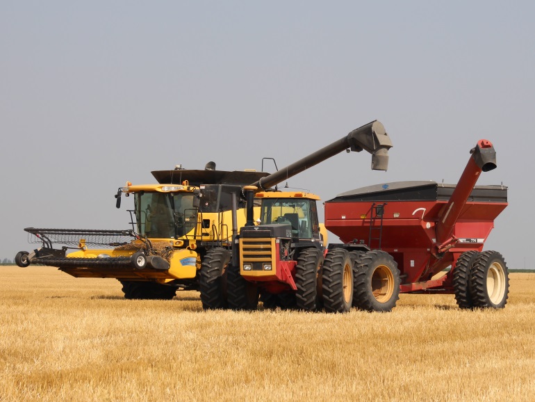 Rain slows down harvest progress