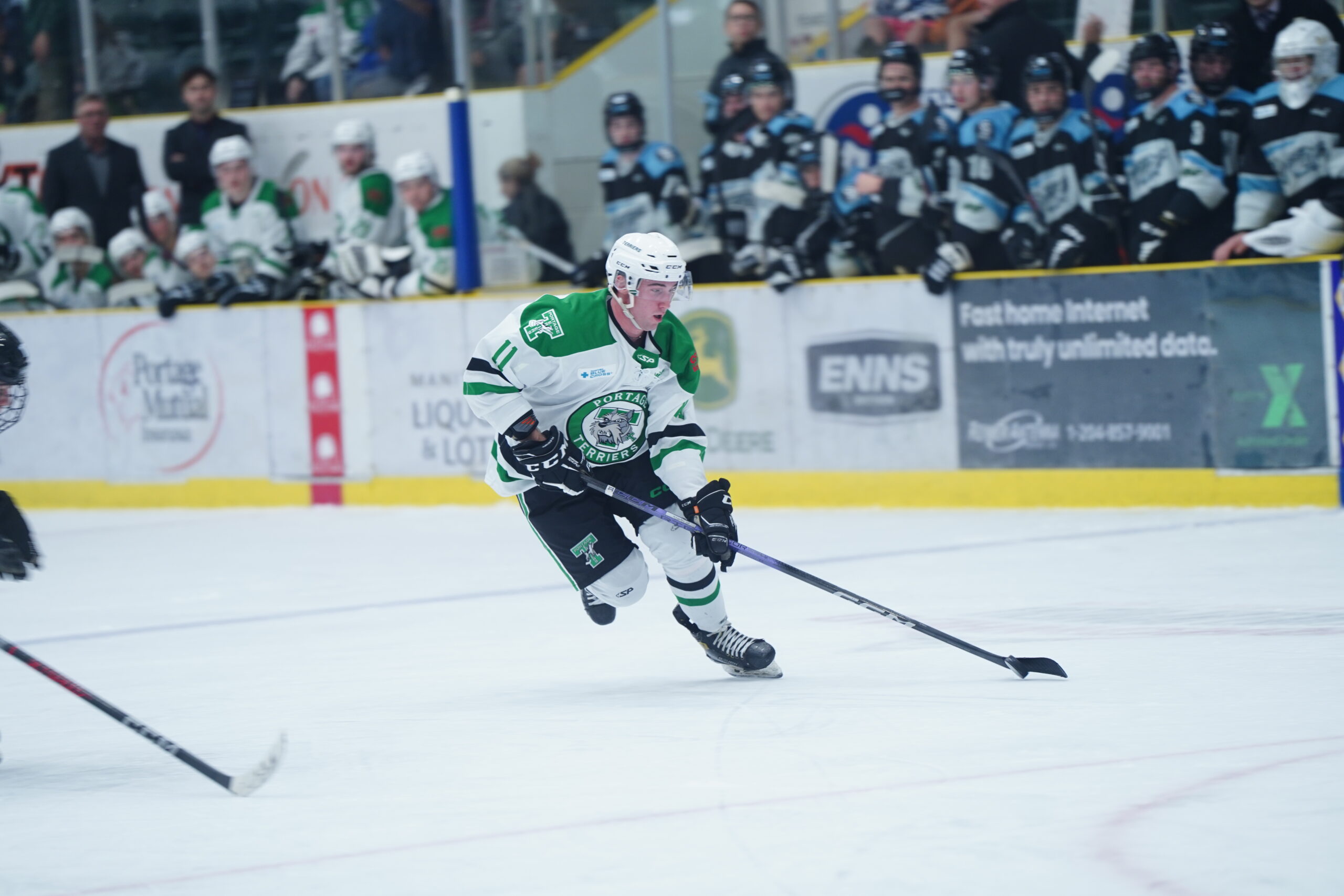 Terriers look to get back in the win column against Winnipeg Freeze ...