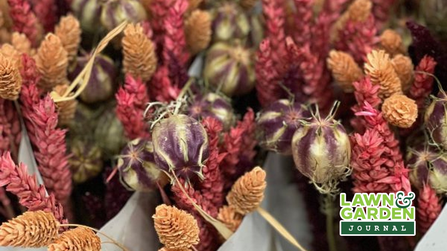Whether lifting, dividing or planting new perennials, planting new ...