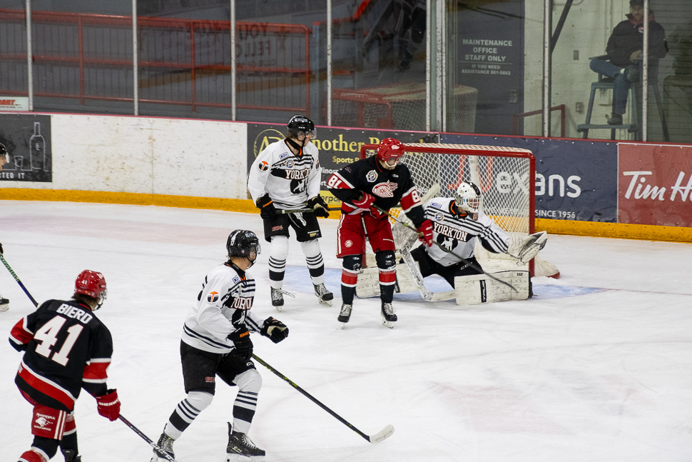 Yorkton Terriers forfeit three wins due to ineligible player ...