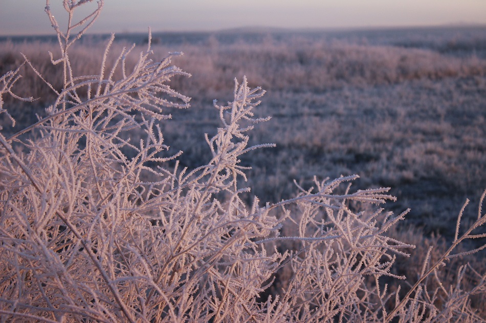 Strathmore expected to get snow overnight - StrathmoreNow.com - Local ...