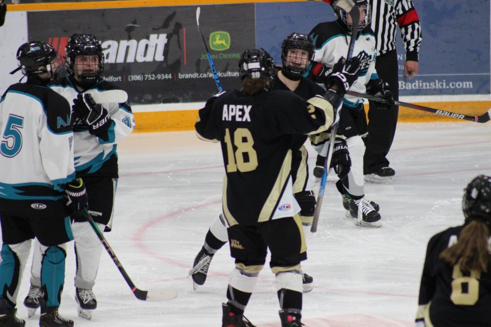 Minor hockey recap: Weyburn teams close out regular seasons ...