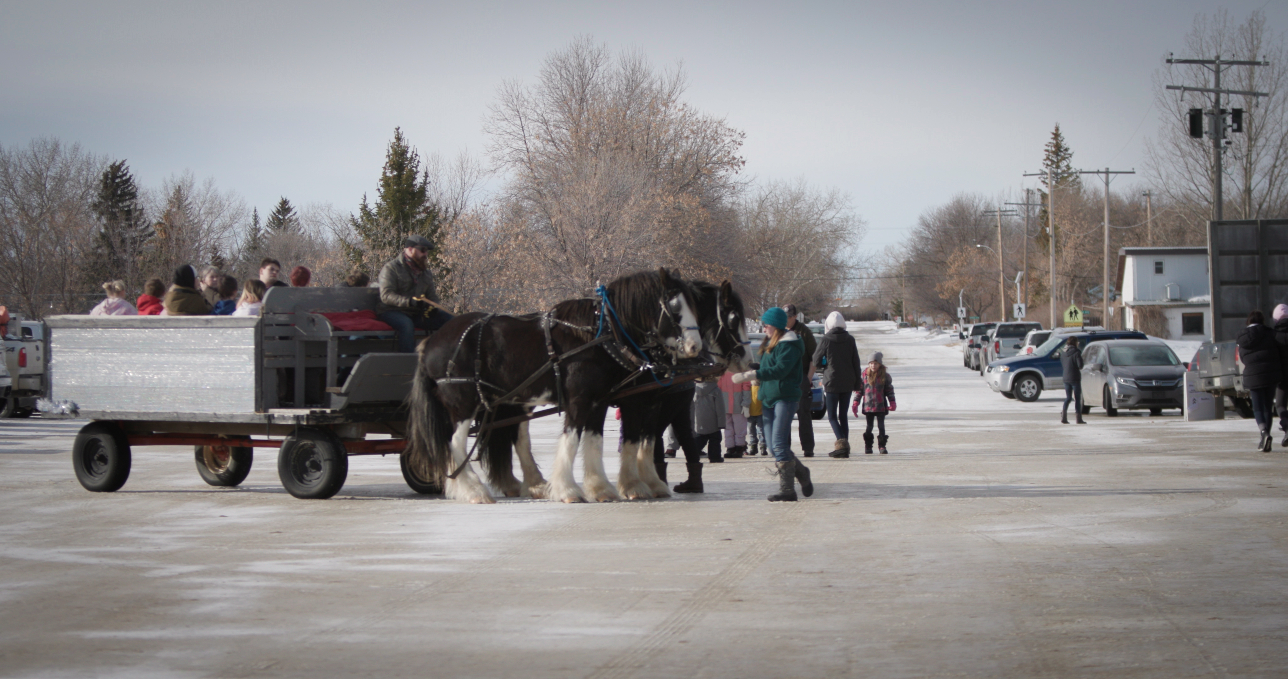 Annual Winterfest to perk up the southwest - SwiftCurrentOnline.com ...