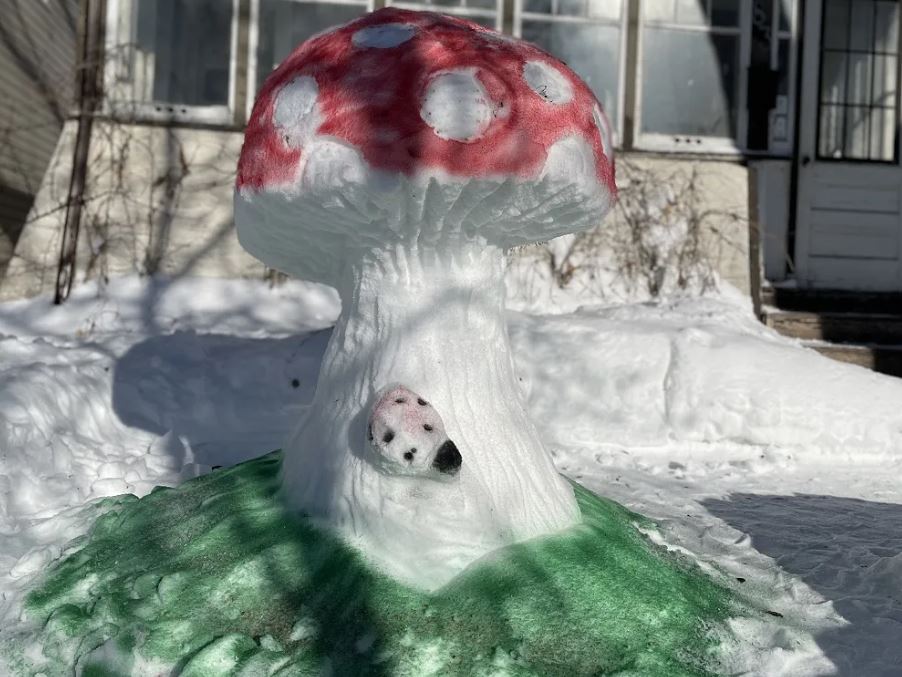 Glenelm neighbourhood comes together for 8th annual snow sculpture ...