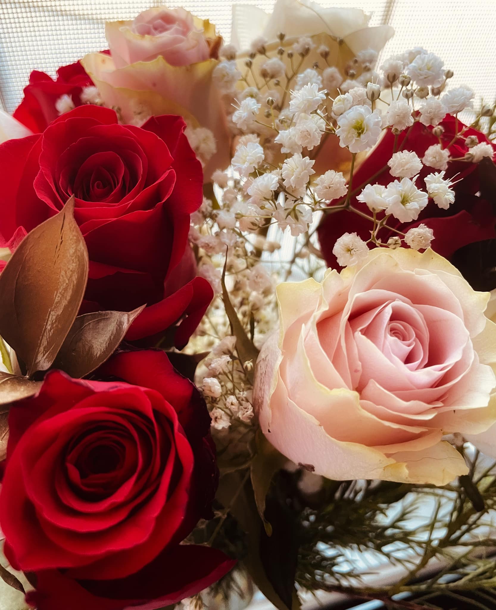 They stole my heart—and my money: How romance scams are costing Albertans  millions - DiscoverAirdrie.com - Local News, Weather, Sports, and Job  Listings for Airdrie, Alberta, and the Rocky View County region.