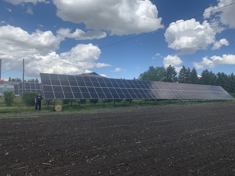 SaskPower expanding renewable energy credit service to small businesses ...