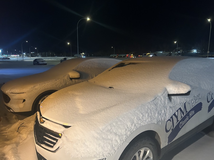 Auto theft claims drop since national summit, but industry urges further action