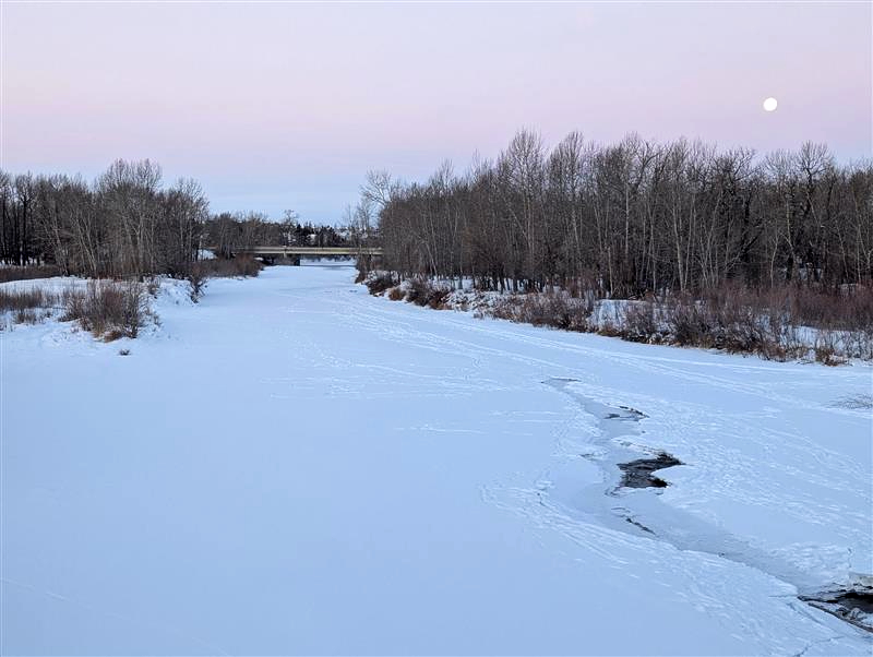 There are plenty of activities in the Foothills this Family Day long