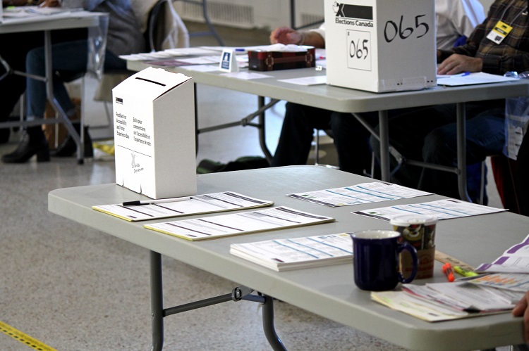 Today is Election Day. What YOU need to know before heading to the ...