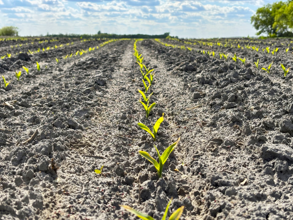 Seeding season ends with good growing conditions in the southeast ...