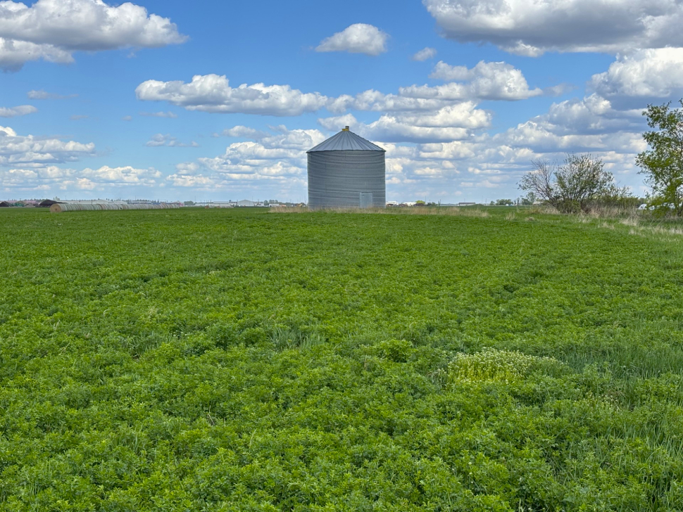 Southeast seeding season wrapping up on a strong note despite dry ...