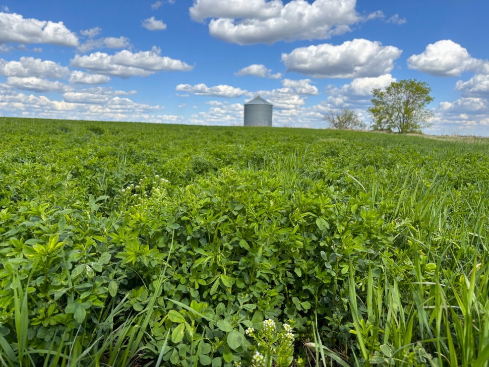 Southeast seeding season wrapping up on a strong note despite dry ...