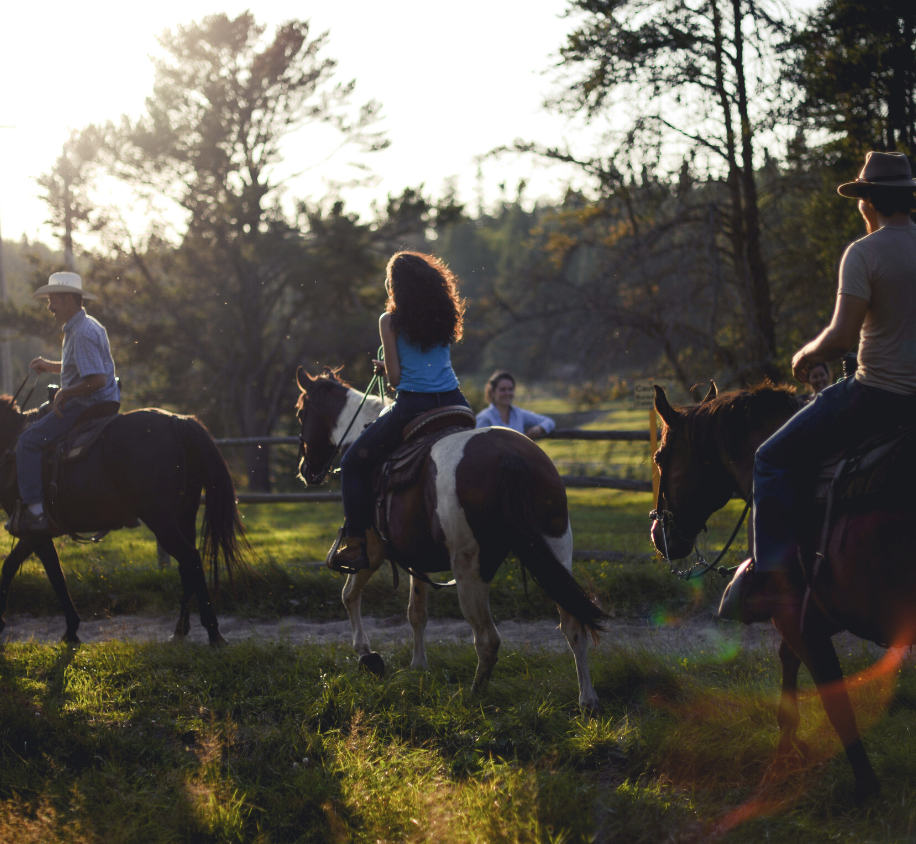 Falcon Train Ranch Experience more, support local, See MORE Canada - DiscoverMooseJaw.com ...
