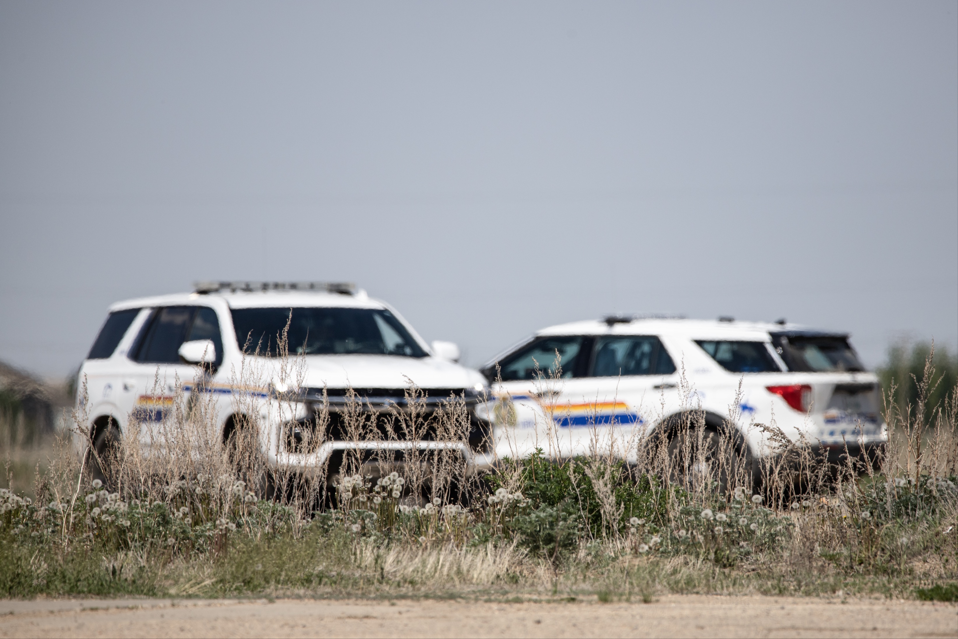 They Got Him: Suspect Arrested In Saskatchewan Rcmp Shooting - 0bh5f39
