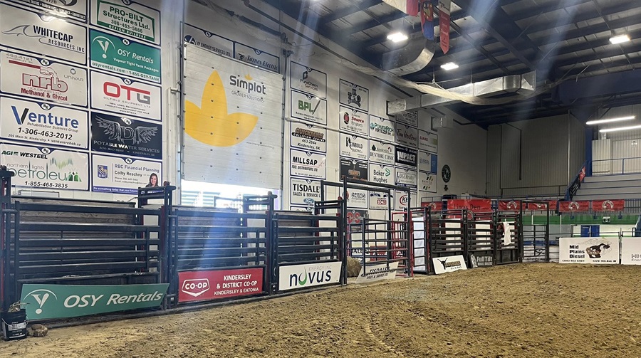 Belt buckles, pony riding, and more at the Kindersley Indoor Rodeo