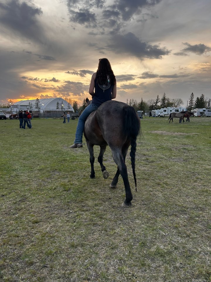 Rodeo star Preslie Wiebe thrilled with season and the future ...