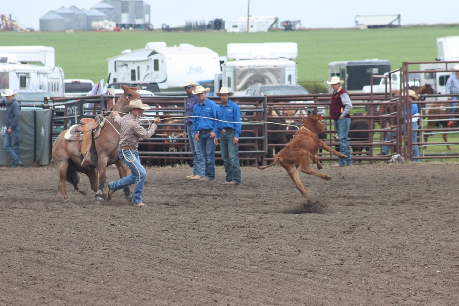Rockyford Rodeo brings thousands to Alberta village - StrathmoreNow.com ...