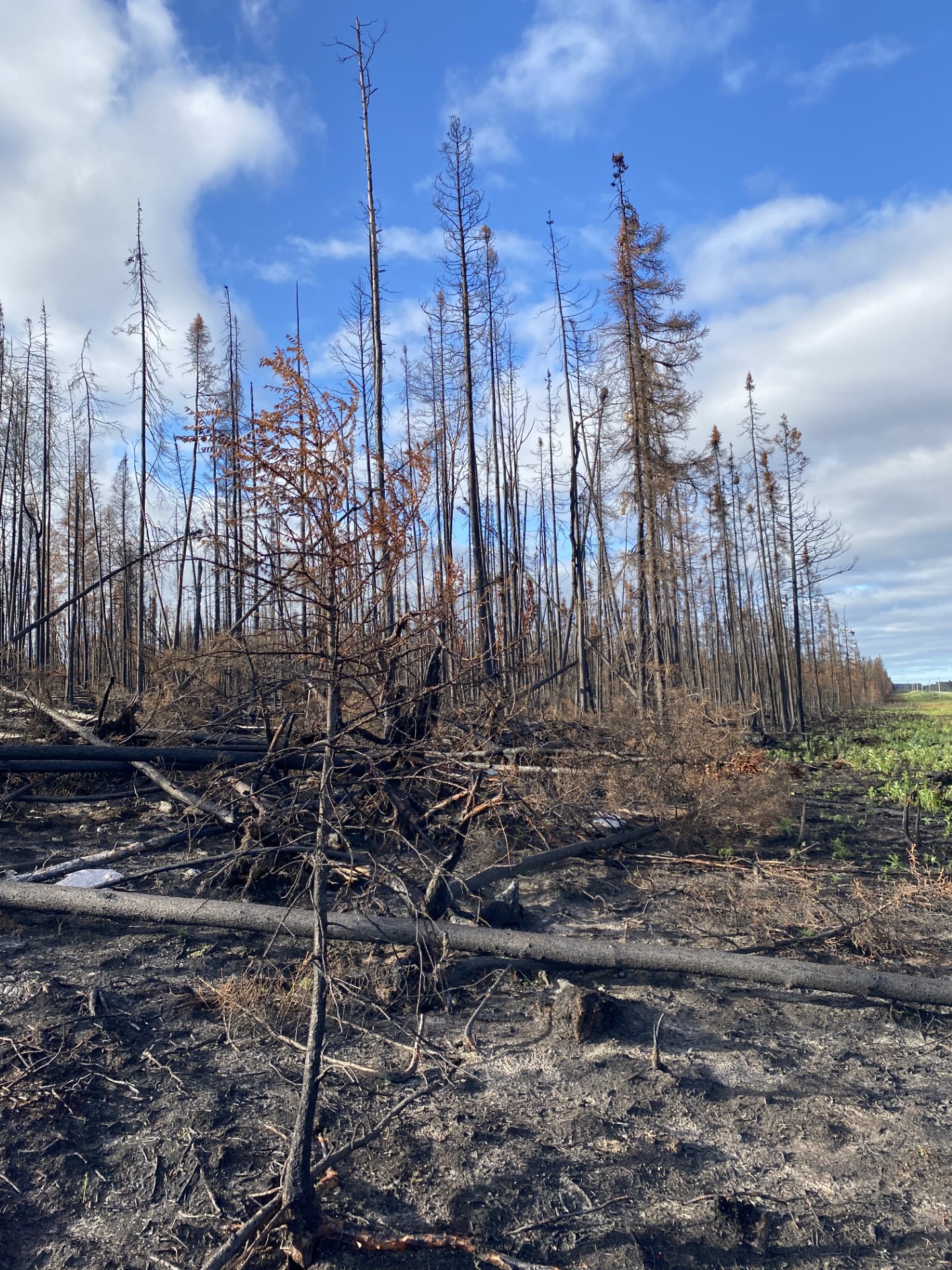 Fire Bulletin 52 Manitoba continues - WANLESS%20wildfire%20forest%20fire