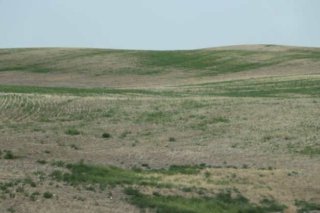 AAFC's says drought conditions remain a concern in parts of the ...