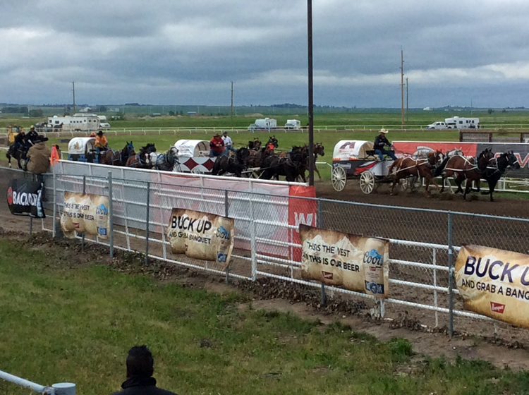 The final four chuckwagons will be decided tonight for championship ...