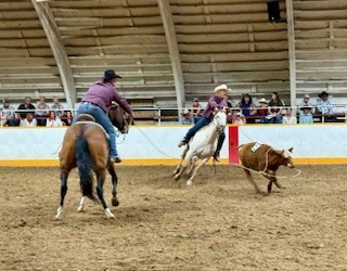 Back in the saddle at Cadillac Ranch Rodeo - SwiftCurrentOnline.com ...