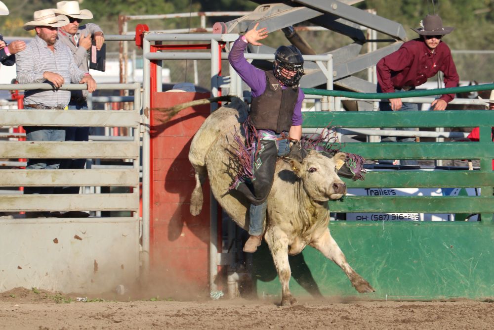 Gallery: Okotoks Pro Rodeo returns - OkotoksOnline.com - Local news ...