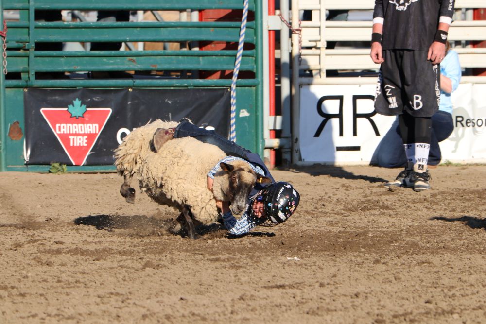 Gallery: Okotoks Pro Rodeo returns - OkotoksOnline.com - Local news ...