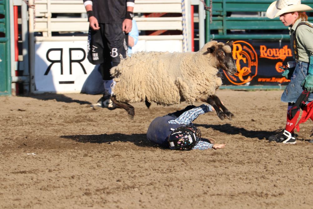 Gallery: Okotoks Pro Rodeo returns - OkotoksOnline.com - Local news ...