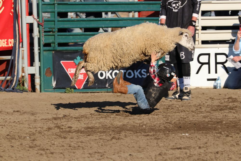 Gallery: Okotoks Pro Rodeo returns - OkotoksOnline.com - Local news ...