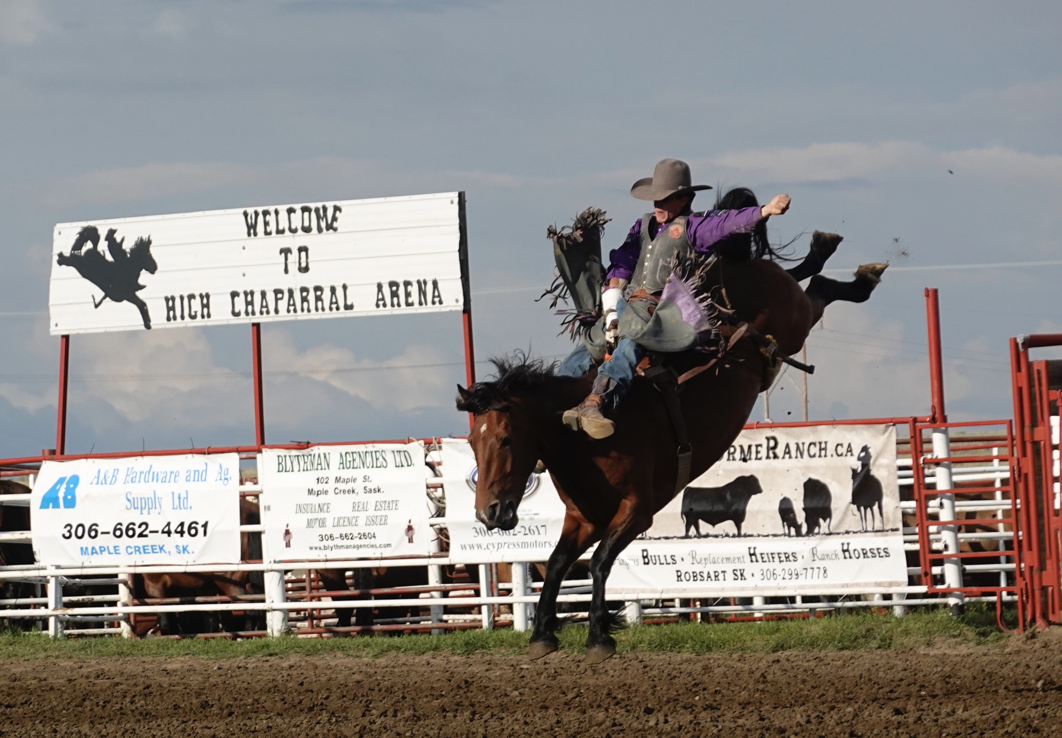 Reno Rodeo thrills in Maple Creek - SwiftCurrentOnline.com - Local news ...