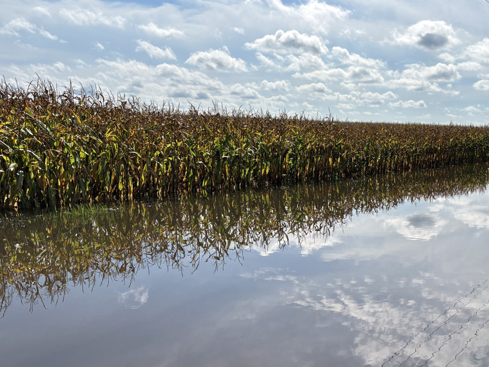 Harvest slowed by heavy rain - CochraneNow: Cochrane, Alberta's latest ...