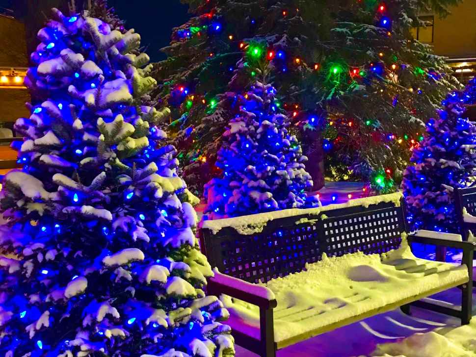 Gifts of Light enhance local healthcare & brighten Steinbach’s hospital grounds – SteinbachOnline.com Gifts of Light enhance local healthcare & brighten Steinbach’s hospital grounds – SteinbachOnline.com