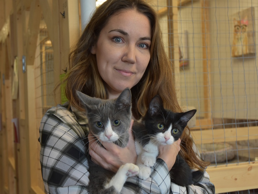 Local cat sanctuary pleads for help at full capacity - StrathmoreNow ...